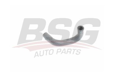 BSG BSG 75-720-021 Hose Line