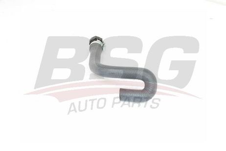 BSG BSG 75-720-022 Hose Line
