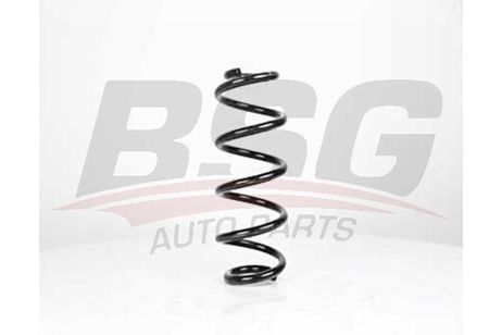 BSG BSG 90-305-005 Spring | перед |