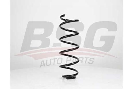 BSG BSG 90-305-009 Spring | перед |