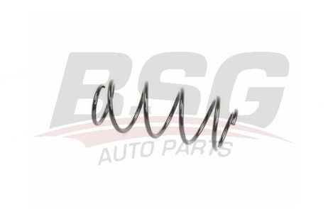BSG BSG 90-305-011 Spring | перед |