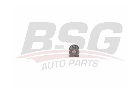 BSG BSG 90-700-169 Mounting | перед |