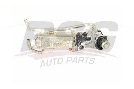 BSG BSG 90-836-019 VW Polo 1.6tdi 2009.06> Клапан возврата ОГ