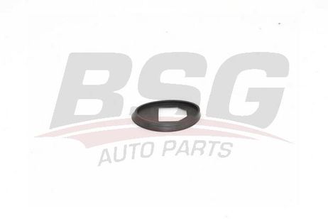 BSG BSG 90-995-023 Aerial