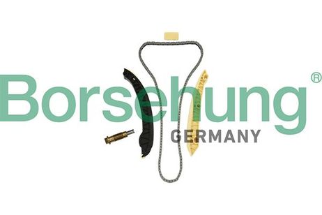 Borsehung B18857 Комплект цепи ГРМ