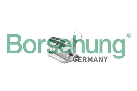 Borsehung B1T003 Натяжитель цепи