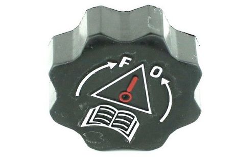 Fast FT94726 Пробка бака охл.жидклсти fiat scudo / ulysse 95> 1 BAR