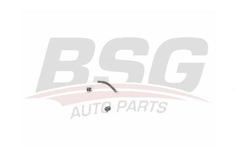 BSG BSG 60-725-004 Шланг топливный