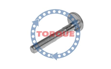 фото Torque CP001 Болт эксцентриковый Torque CP001 Болт эксцентриковый