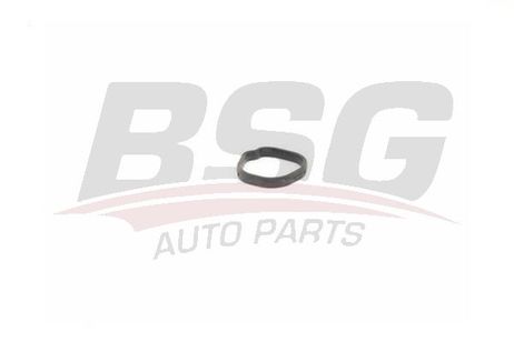 BSG BSG65720162 Уплотнения системы охлаждения basbug