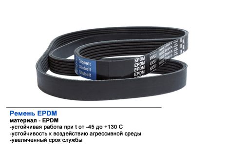 фото Globelt 5PK1885EPDM Ремень приводной поликлиновой Globelt 5PK1885EPDM Ремень приводной поликлиновой
