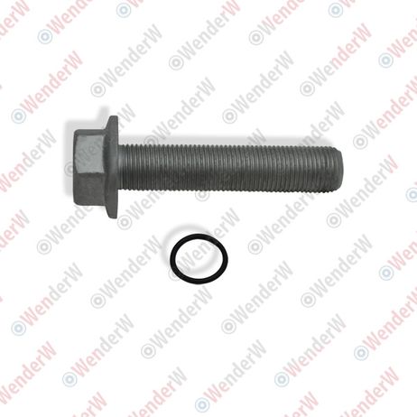 фото WENDERW WEL294 Болт шкива коленвала skoda octavia (a5 1z-) (04-13)/vw golf v (03…) WENDERW WEL294 Болт шкива коленвала skoda octavia (a5 1z-) (04-13)/vw golf v (03…)