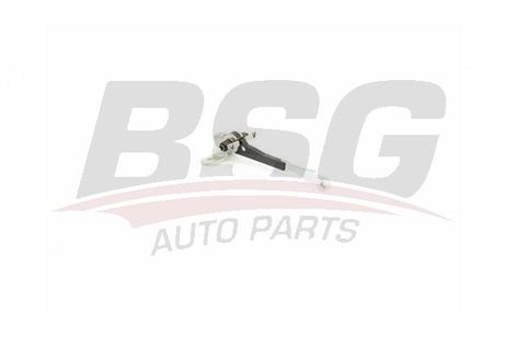 BSG BSG25975008 Ограничитель открывания задней распашной двери / fiat Doblo 01~ 