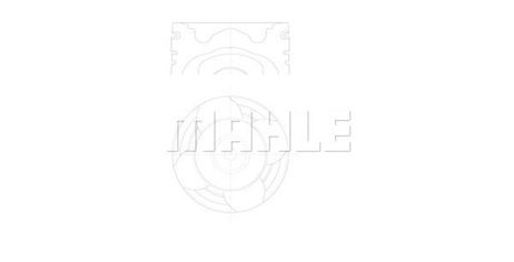 Mahle 227 PI 00142 000 Поршнекомплект