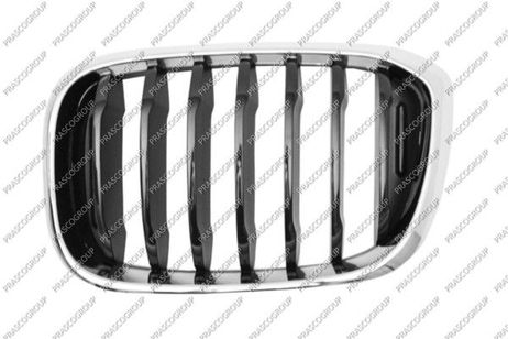 Prasco BM8082004 | лев |