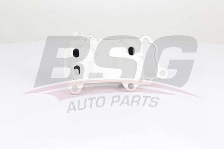 BSG BSG 15-506-021 Радиатор масляный двигателя-теплообменник / BMW 1,3,5,x1,x3 N47 (e81,82,87,88,90,91,92,93,60,61,84,83) 05~13