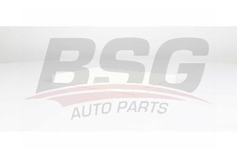 BSG BSG 75-145-011 