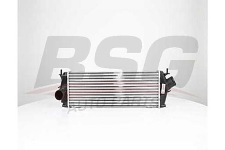 BSG BSG 75-535-009 Интеркулер