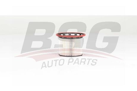 BSG BSG90130036 Фильтр топливный