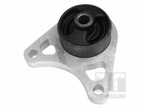 TEDGUM 01164615 Втулка дифференциала