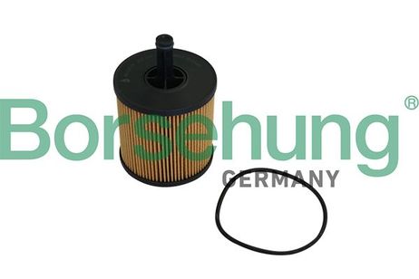 Borsehung B10548 Фильтр масляный