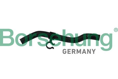 Borsehung B11975 Шланг системы охлаждения