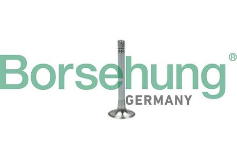 Borsehung B18999 Клапан выпускной