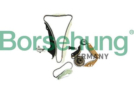 Borsehung B19254 Цепь ГРМ с натяжителями, комплект