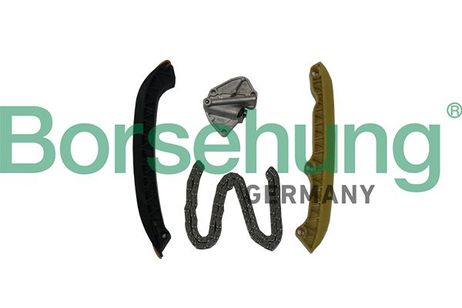 Borsehung B19255 Ремкомплект цепи ГРМ