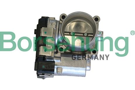 Borsehung B19290 Заслонка дроссельная