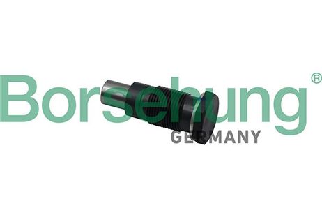 Borsehung B19308 Натяжитель цепи