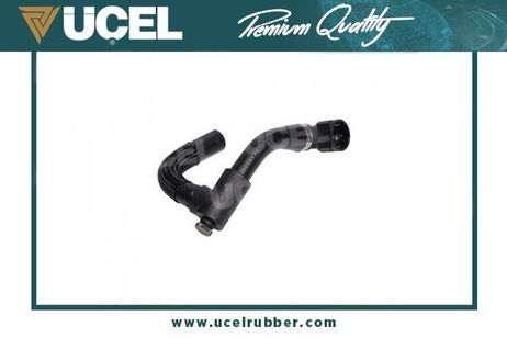 UCEL 35531 