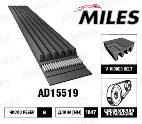 Miles AD15519 Ремень приводной поликлиновой 6pk1843e