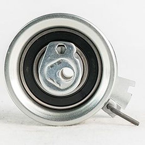Miles AG02173 Ролик ремня ГРМ peugeot 206/307/citroen xsara 1.6 00-