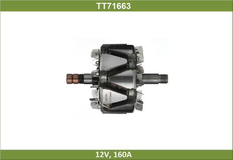 Tesla TT71663 Ротор генератора