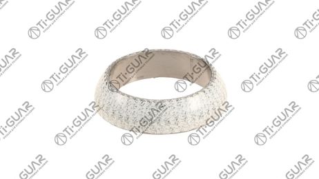 Ti-Guar TGMR0005 Кольцо глушителя 0005  18301728734