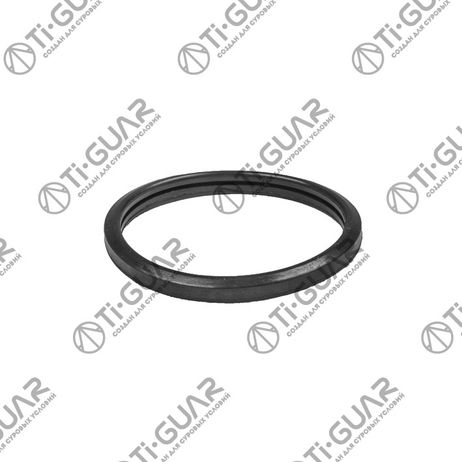 фото Ti-Guar TG1632562010 Прокладка термостата 1632562010101 Ti-Guar TG1632562010 Прокладка термостата 1632562010101