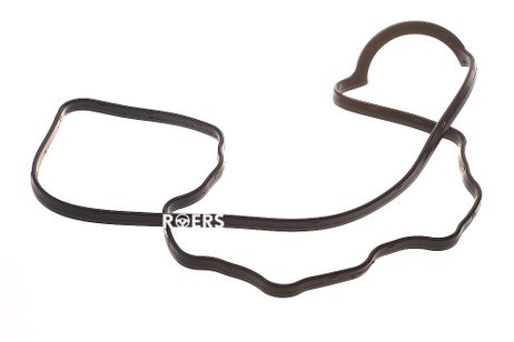 фото Roers Parts RPL27GC020 Прокладка клапанной крышки Roers Parts RPL27GC020 Прокладка клапанной крышки