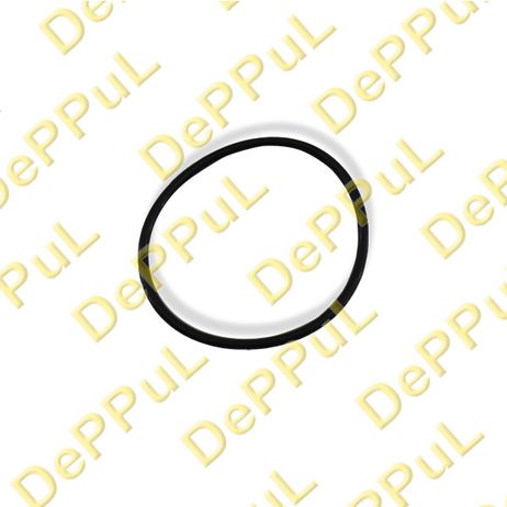 фото DePPuL DEBZ0548 Кольцо уплотнительное крышки ГБЦ mercedes w209, w212 (09…), w220 (98-05) DePPuL DEBZ0548 Кольцо уплотнительное крышки ГБЦ mercedes w209, w212 (09…), w220 (98-05)
