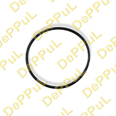 фото DePPuL DEBZ0691 Кольцо уплотнительное фильтра топливного audi a3/s3 (04-13), skoda octavia (04-13), yeti (09-18) DePPuL DEBZ0691 Кольцо уплотнительное фильтра топливного audi a3/s3 (04-13), skoda octavia (04-13), yeti (09-18)