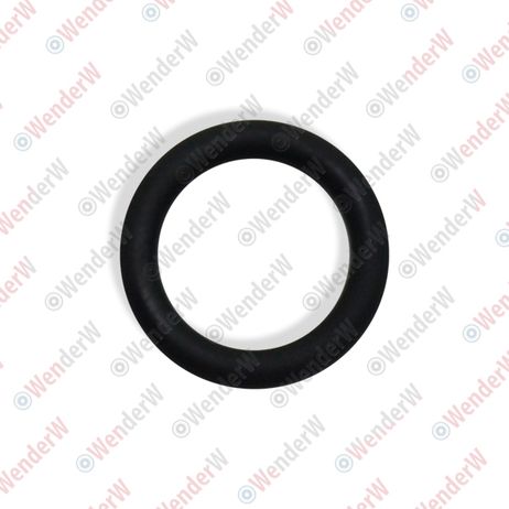фото WENDERW WEKLC019 Кольцо уплотнительное топливной системы hyundai elantra (00…), getz (02…), santa FE (00…), KIA RIO WENDERW WEKLC019 Кольцо уплотнительное топливной системы hyundai elantra (00…), getz (02…), santa FE (00…), KIA RIO