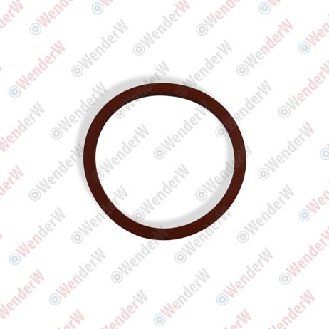 фото WENDERW WEPR0599 Прокладка топливного насоса mazda 3 (08…), 6 (12…), cx-5 (11…) WENDERW WEPR0599 Прокладка топливного насоса mazda 3 (08…), 6 (12…), cx-5 (11…)