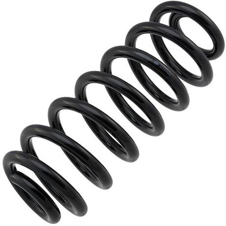 ZIKMAR Z48226R Пружина задней подвески BMW X5 (e53), L335-D125-t15,3