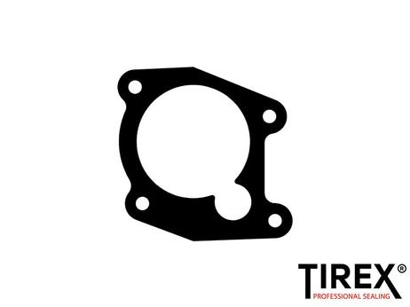 фото Tirex AW01619 Прокладка термостата Tirex AW01619 Прокладка термостата