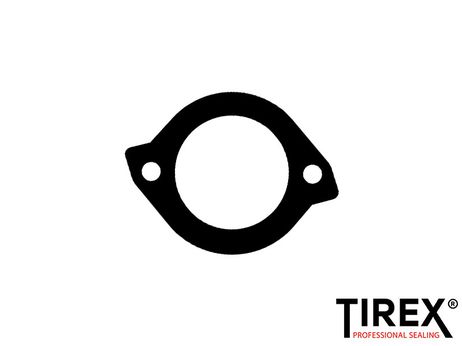 фото Tirex AW01630 Прокладка термостата Tirex AW01630 Прокладка термостата