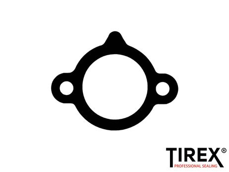 фото Tirex A1S01430 Прокладка натяжителя цепи ГРМ Tirex A1S01430 Прокладка натяжителя цепи ГРМ