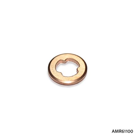 AMR AMR61100 Шайба топливной форсунки
