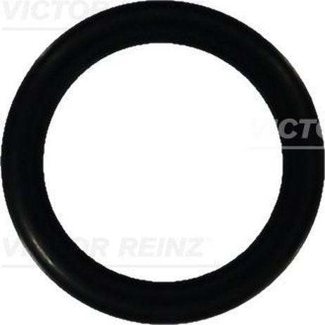 Victor Reinz 40-76052-10 Кольцо уплотнительное