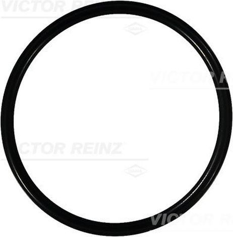 Victor Reinz 40-76125-00 Кольцо уплотнительное