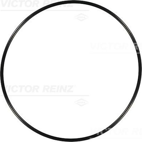 Victor Reinz 40-76248-00 Кольцо уплотнительное